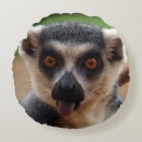 Search for lemur cushions Funny