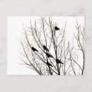 Search for bird silhouette postcards Tree
