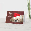 Search for dog waiting postcards Canine