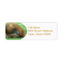 Search for orangutan return address labels Primate
