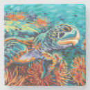 Search for marine life barware Sea turtle