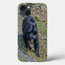 Search for lover ipad cases Wildlife
