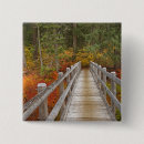 Search for national forest badges Hiking