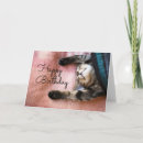 Search for snooze cards Cat