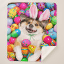 Search for easter blankets Funny