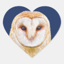 Search for barn owl stickers Animal