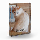 Search for dog memorial photo display Memory