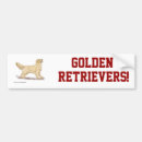 Search for golden retriever bumper stickers Puppy