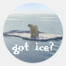 Search for bear photo stickers Animal