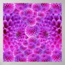 Search for pom posters Floral