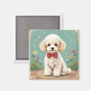 Search for poodle puppy magnets Cute
