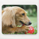 Search for singapore mousepads Horizontal