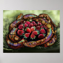 Search for scales art Rainbow