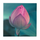 Search for lotus flower tiles Petal