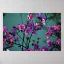 Search for azalea posters Flower