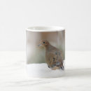 Search for mourning dove mugs Photography