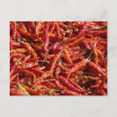 Search for chili postcards Spicy