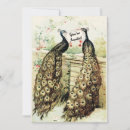 Search for peacock birthday Pretty