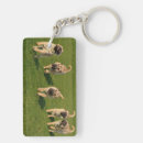 Search for shar pei key rings Puppies