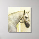 Search for horse canvas prints Stallion
