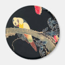 Search for bush magnets Parrot