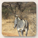 Search for walk barware Animal
