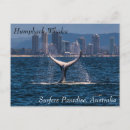 Search for whale postcards Humpback