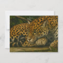 Search for wildlife postcards Big cat