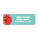 Search for with daisies return address labels Gerbera daisy