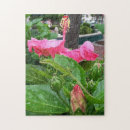 Search for camouflage puzzles Nature