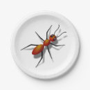 Search for ant plates Red