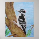 Search for woodpecker posters Tree
