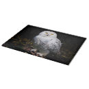 Search for owls chopping boards Snowy owl