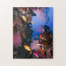 Search for coral reef puzzles Ocean