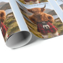 Search for scotland wrapping paper Highland cow