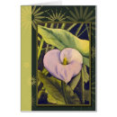 Search for cala lilly Flower