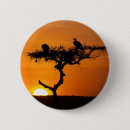 Search for sunrises badges Sunset