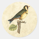 Search for perch stickers Avian