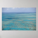 Search for great barrier posters Travel
