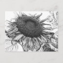 Search for vintage black and white postcards Rustic