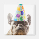 Search for frenchies magnets Pets