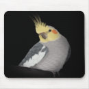 Search for cockatiels mousepads Parrot