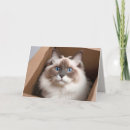 Search for ragdoll cat birthday cards Cute