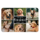 Search for pet collage Stylish