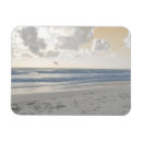 Search for coast rectangular magnets Ocean