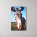 Search for colour image canvas prints Humour