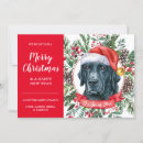 Search for black lab christmas cards Labrador