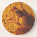 Search for tree frog barware Toad