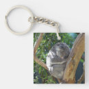 Search for sleeping bear key rings Cute