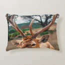 Search for gray brown cushions Grey